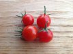 Tomate Cherry Cascade 10 graines TessGruun