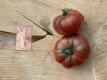 Tomate Charbonnière du Berry 10 graines TessGruun