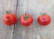 Tomate Chernomor 10 graines TessGruun