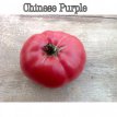 Tomate Chinese Purple 10 graines TessGruun
