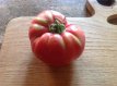 Tomate Cleota Pink 10 Samen TessGruun