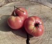Tomate Crnkovic 10 graines