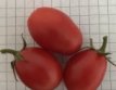 Tomate Crovarese 10 samen