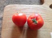 Tomate Danko 10 graines TessGruun