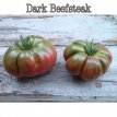 Tomate Dark Purple Beefsteak 10 samen TessGruun