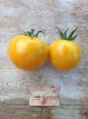 ZTOTGDEDOR Tomate Delice D’Or 10 graines TessGruun