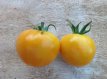 Tomate Delice D’Or 10 graines TessGruun