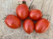 Tomate Denar 10 graines