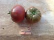 ZTOTGDWCHIM Tomato Dwarf Champion Improved 10 seeds TessGruun