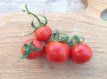 Tomate Eros 10 graines TessGruun