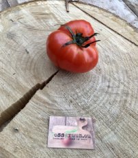 Tomate Florence Ribbed 10 graines