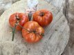 ZTOTGGI Tomate Gigantesque 10 Samen TessGruun