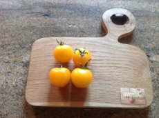 ZTOTGGOKO Tomate Golden Konigin 10 semillas TessGruun