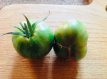 ZTOTGGRCOP Tomate Green Copia 10 graines TessGruun