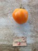 ZTOTGHEOFAS Tomato Heart Of Ashagabat 10 seeds TessGruun