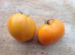 ZTOTGHEOFAS Tomato Heart Of Ashagabat 10 seeds TessGruun