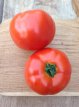 ZTOTGHO Tomato Homestead 10 seeds TessGruun