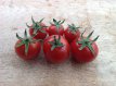 Tomate Idyll 10 graines TessGruun