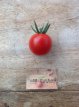 ZTOTGMAMO Tomate Magic Mountain / Montaña Mágica 10 semillas TessGruun
