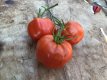 Tomate Marshall Poleda 10 graines