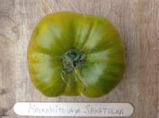 ZTOTGMASH Tomato Malakhitovaya Shkatulka 10 seeds TessGruun