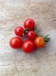Tomate Matt’s Wild Cherry 10 graines TessGruun