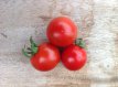 ZTOTGMIN Tomato Minibel 10 seeds TessGruun