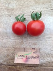 ZTOTGMIN Tomato Minibel 10 seeds TessGruun
