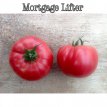 Tomato Radiator Charlie's Mortgage Lifter 10 seeds TessGruun
