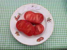 ZTOTGMPLA Tomato Missouri Pink Love Apple 10 seeds TessGruun