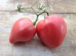 Tomate Mrs. Schlaubaugh’s Famous Strawberry 10 graines TessGruun