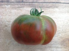 Tomate Pata Negra 10 graines TessGruun