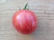 Tomate Persuasion 10 graines TessGruun