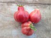 Tomate Pink Fig 10 graines TessGruun