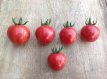 Tomate Pink Vernissage 10 graines TessGruun