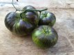 Tomate Xanadu Green 10 graines