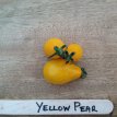 Tomato Yellow Pear 10 seeds TessGruun