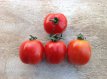 Tomato Yubileynyi Tarasenko 10 seeds TessGruun