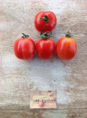 Tomato Yubileynyi Tarasenko 10 seeds TessGruun