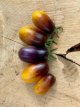 Tomate Indigo Pear Drops 10 graines TessGruun