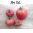 Tomato Abe Hall 10 seeds TessGruun
