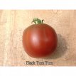 Tomate Black Yum Yum 10 graines TessGruun