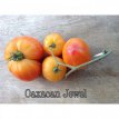 ZTOTGJODOA Tomato Joyau d'Oaxaca 10 seeds TessGruun