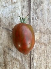 ZTOWBBLBRBO Tomato Black & Brown Boar  5 seeds TessGruun