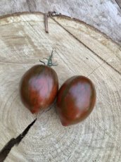 Tomate Boars Tooth 5 graines TessGruun