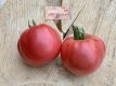 Tomate Amish Pink 5 graines