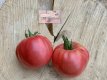 Tomate Amish Pink 5 graines