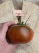 Tomate Black from Santiago 10 graines