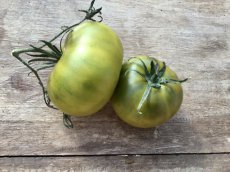 Tomate Cherokee Green 5 graines