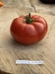 Tomate Costoluto di Chivasso/Chivassa 10 graines